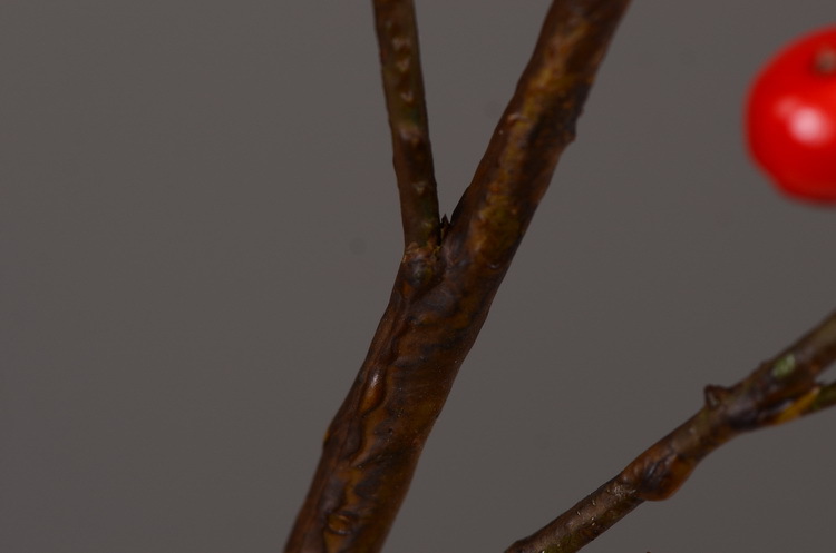 Artificial rosehip, artificial plant fruit, berry, American decorative floral arrangement materials, photography props pic 15