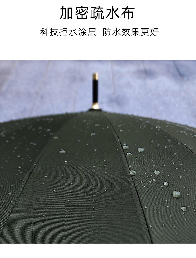 24骨_09.jpg