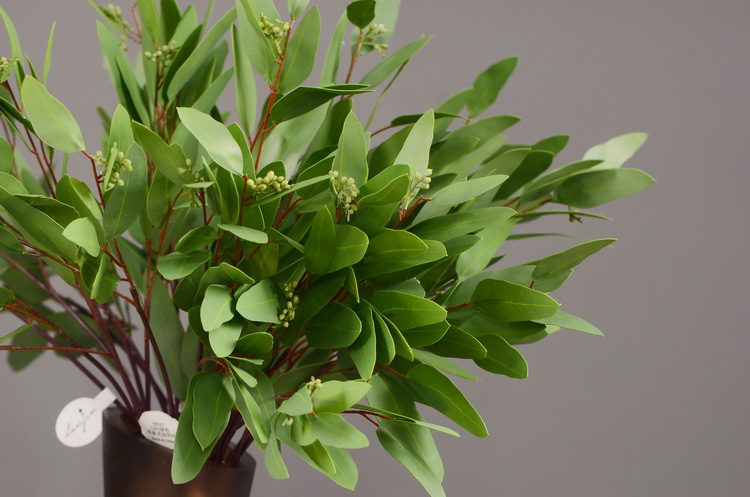 Dongli Flower Industry, the original manufacturer, offers direct sales of green plants in stock, wholesale of artificial leaves, round leaves with fruits, eucalyptus leaves, eucalyptus leaves, and one-piece consignment pic 23