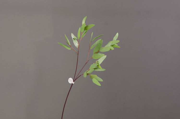 Dongli Flower Industry, the original manufacturer, offers direct sales of green plants in stock, wholesale of artificial leaves, round leaves with fruits, eucalyptus leaves, eucalyptus leaves, and one-piece consignment pic 25