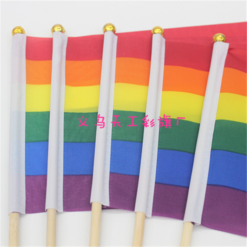 Rainbow Flag No. 8, 14x21, custom-made multi-color flag for gay flag-bearers pic 4