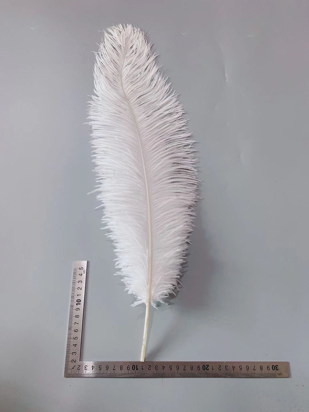 The manufacturer has 60-65 cm colored ostrich feather wedding window carnival prop decorative feather table lamp in stock pic 39