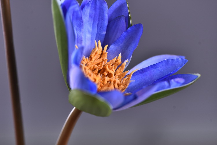 Wholesale manufacturer of artificial water lilies, direct sales of artificial flowers for wedding, home, hotel and homestay soft furnishings, artificial flowers, and photography props pic 7