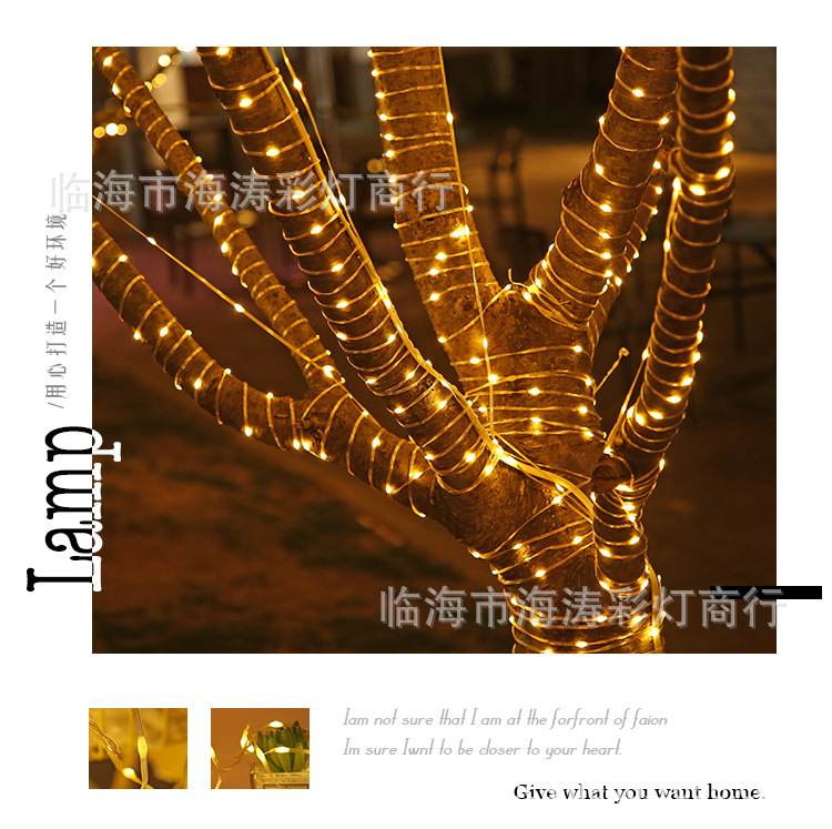 Small colored lights, flashing lights, string lights, starry sky outdoor waterproof low-voltage tree lights, garden lights, string led solar leather wire lights pic 34