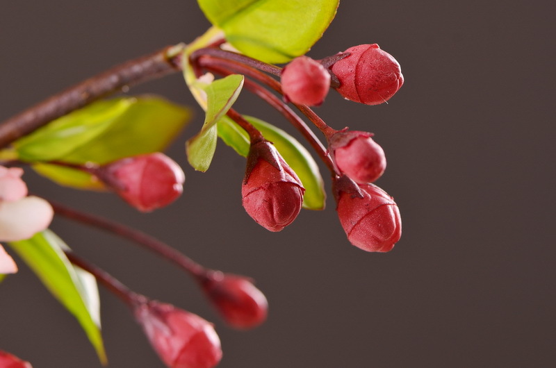 Dongli Flower Industry, the original manufacturer, offers wholesale of high-end artificial flowers, pendulous crabapple, home decoration sample rooms, photography props, and one-piece consignment of crabapple flowers pic 20