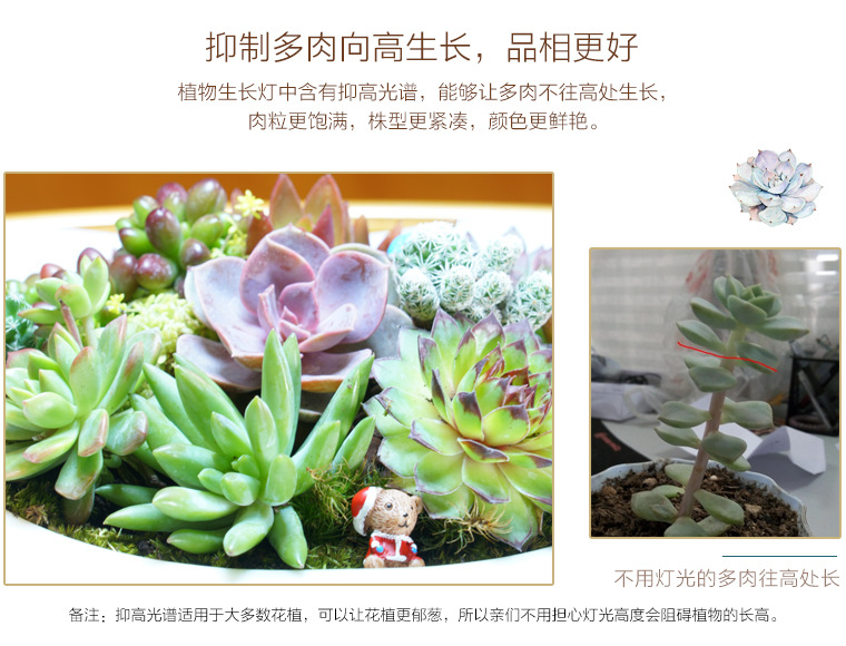 LAN Yuan Smart Flower POTS Office smart planting potted plants Creative flower POTS fully automatic flower POTS white pic 4