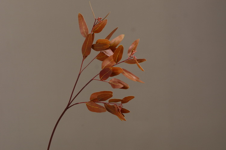 Dongli Flower Industry, the original manufacturer, offers direct sales of green plants in stock, wholesale of artificial leaves, round leaves with fruits, eucalyptus leaves, eucalyptus leaves, and one-piece consignment pic 34