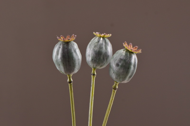 Wholesale of high-end artificial fruits, artificial flowers, photography props, teaching AIDS, dried artificial flowers and flower arrangement materials from the original factory pic 23