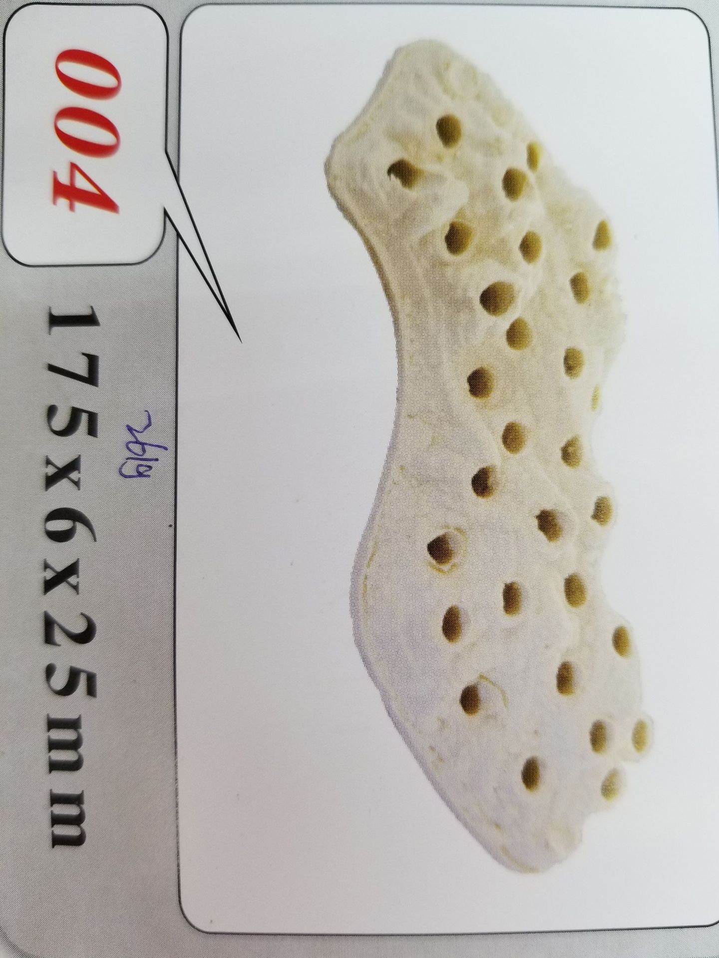 Baojie Aquarium Base, simulation aquatic plant base, fish tank aquatic plant base, ceramic base manufacturer wholesale pic 51