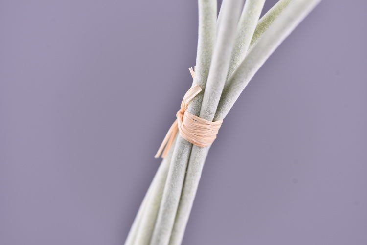 High-quality artificial flowers of windmill chrysanthemum in stock, windmill flower, pine, insect fruit, living room, wedding decoration, flower arrangement art, windmill fruit pic 33