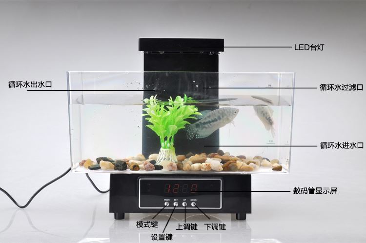 创意桌面水族箱USB迷你小型观赏金龙鱼亚克力生态鱼缸儿童节礼物详情9