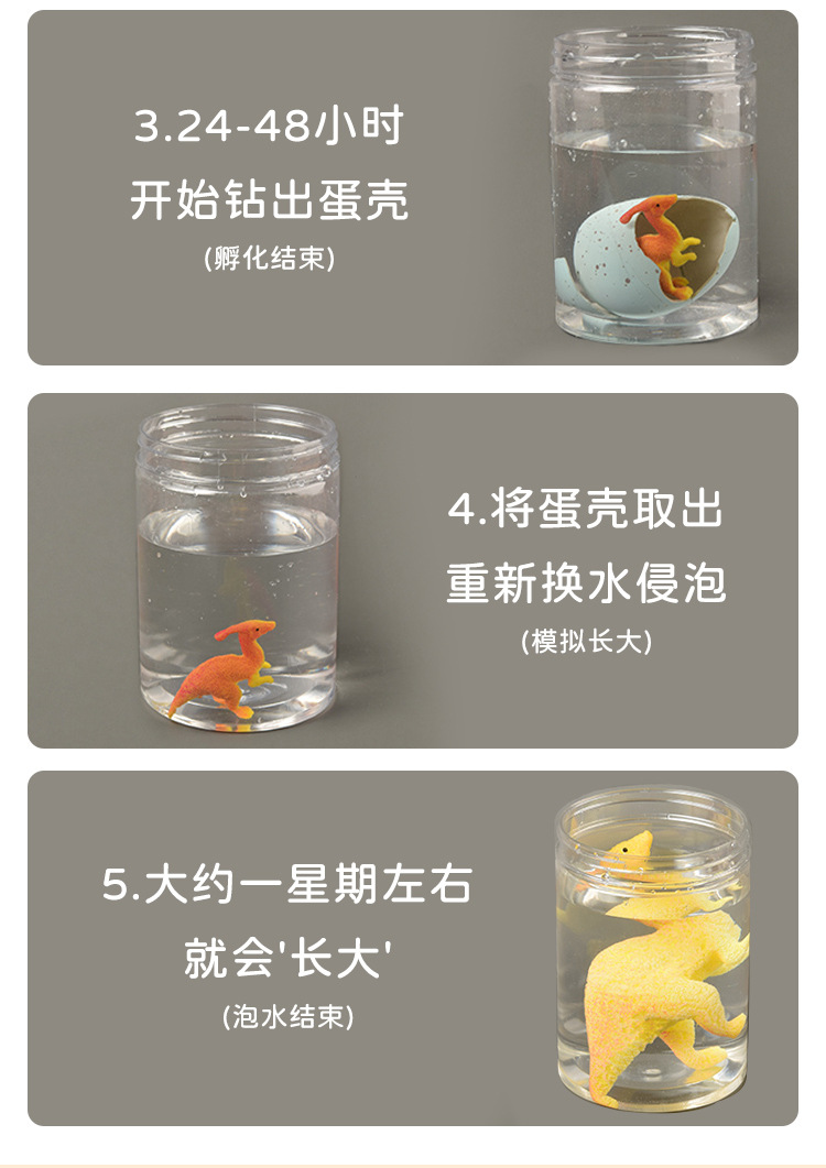儿童玩具泡水恐龙蛋膨胀破壳可变大玩具男孩女孩恐龙孵化蛋盲盒详情5