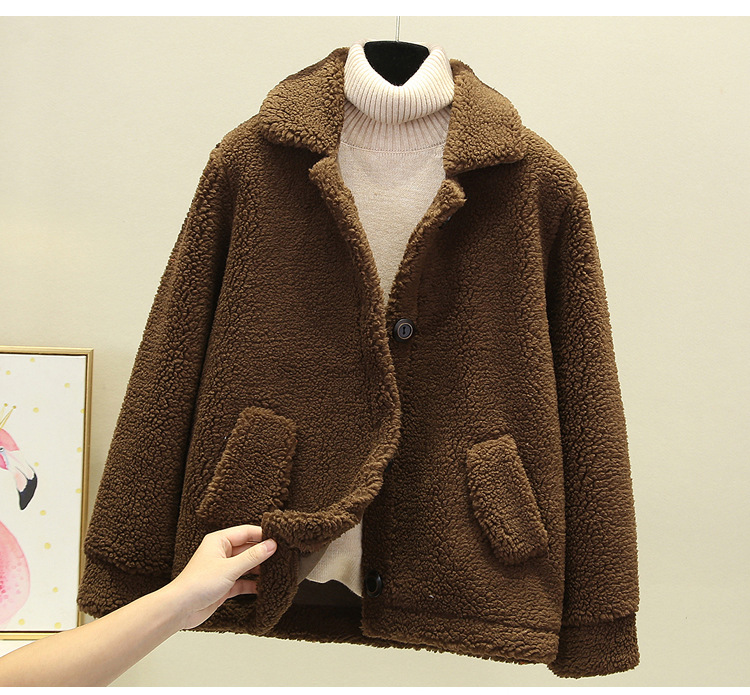 A new autumn and winter casual lambskin plush fur coat for women, a short Korean-style granular fleece warm top pic 4