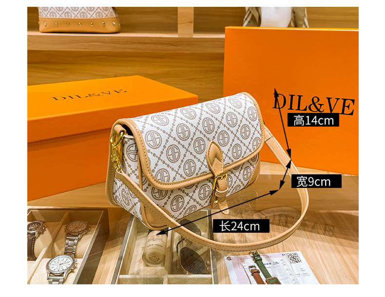 DIL&VE mujer 2022 nueva moda moda versátil bolsa pequeña mujer commuter bolsa de hombro único bolsa de textura premium pic 4