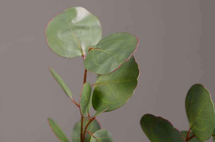 Dongli Flower Industry, the original manufacturer, offers direct sales of green plants in stock, wholesale of artificial leaves, round leaves with fruits, eucalyptus leaves, eucalyptus leaves, and one-piece consignment pic 48