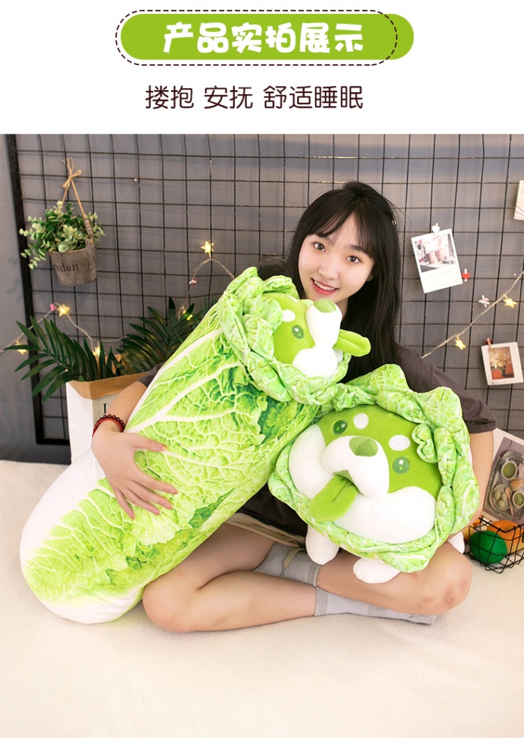 Wholesale of creative cartoon vegetable dog dolls, cabbage dog cushions and plush toys of the same style as those on Xiaohongshu pic 10