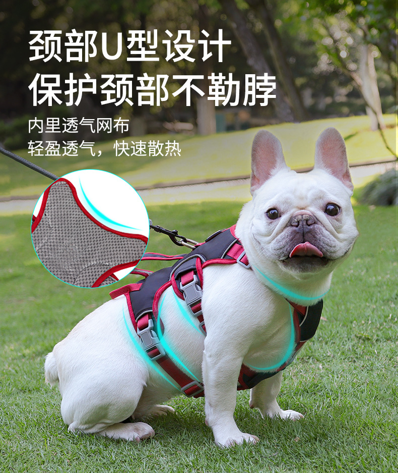 狗狗牵引绳中小型犬宠物胸背带反光防护减震狗狗胸背宠物牵引绳详情5