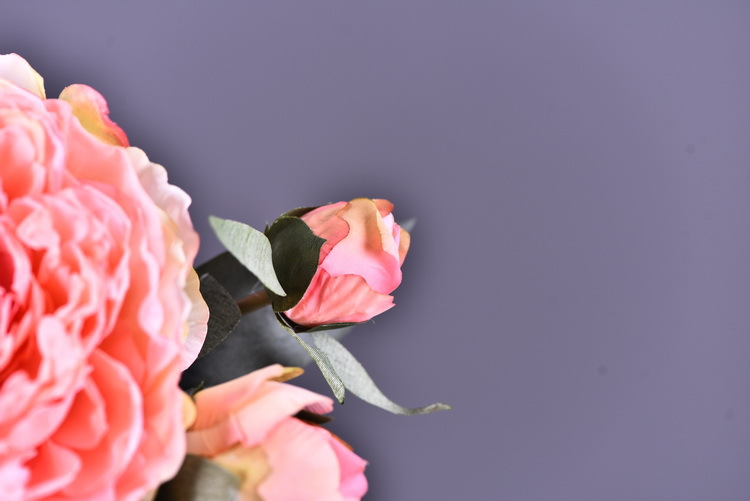 Factory direct sales of faux peonies with charred edges, wholesale of retro faux paeonies, living room and dining table flowers, wedding decoration artificial flowers pic 23