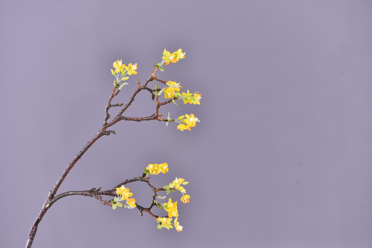 Factory wholesale of high-end artificial flowers, artificial purple rosewood flowers, soft decoration floral art for hotel and homestay model rooms, and artificial locust flowers pic 5