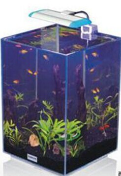 Supply Risheng Aquarium RS300A, Risheng series products, Baojie Aquarium Equipment wholesale pic 18
