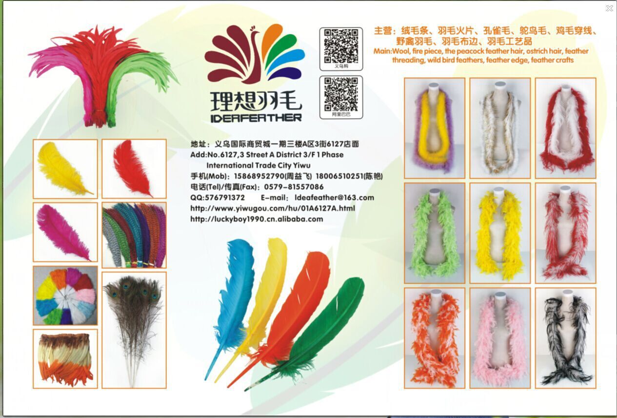 厂家批发珍珠鸡毛彩色羽毛 服装DIY手工工艺品饰品耳环材料野鸡毛详情1