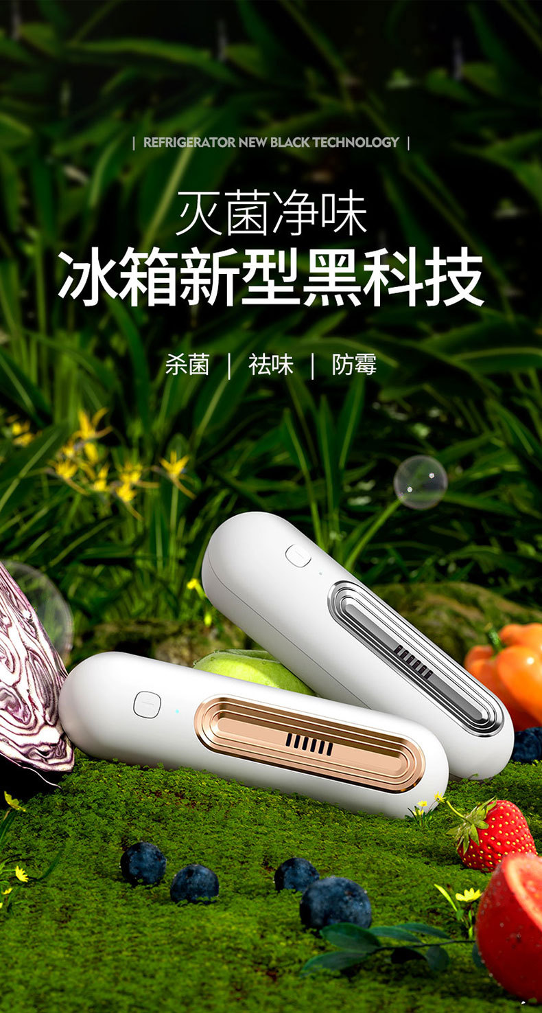 冰箱除味器臭氧除臭去异味空气净化保鲜杀菌除臭器除味剂跨境外贸详情1