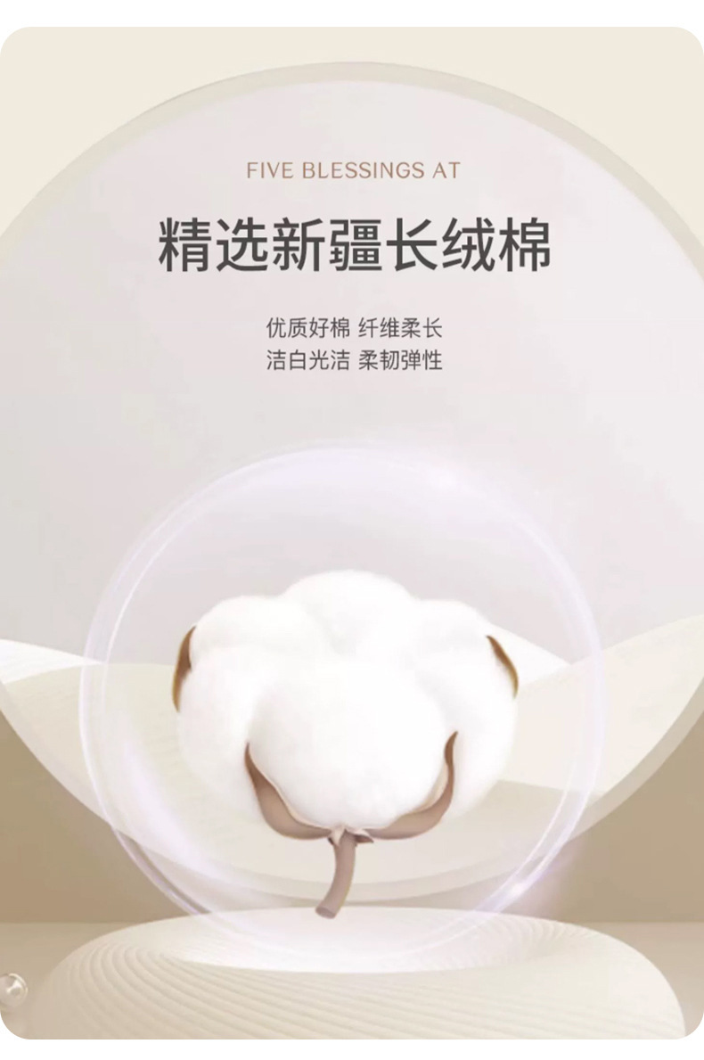 一片式无痕简约提花纯棉中腰内裤女抑菌纯棉裆透气舒适大码三角裤详情5