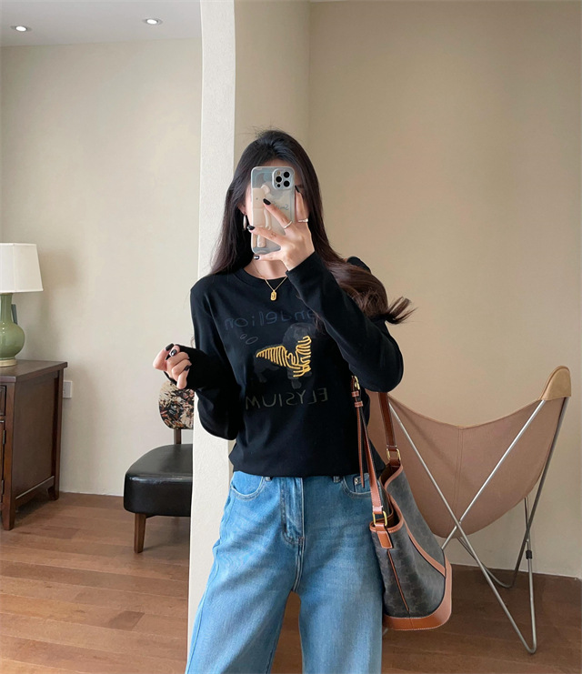 Playful and youthful embroidered printed puppy loose straight top straight-shoulder round-neck long-sleeved T-shirt for women 2025 early Spring G021418 pic 29