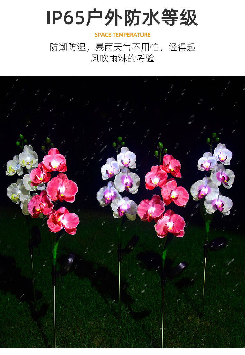Cross-border solar lamps, simulated flower Phalaenopsis, ground insert lamps, outdoor courtyard lamps, landscape, festival and garden decorations pic 14