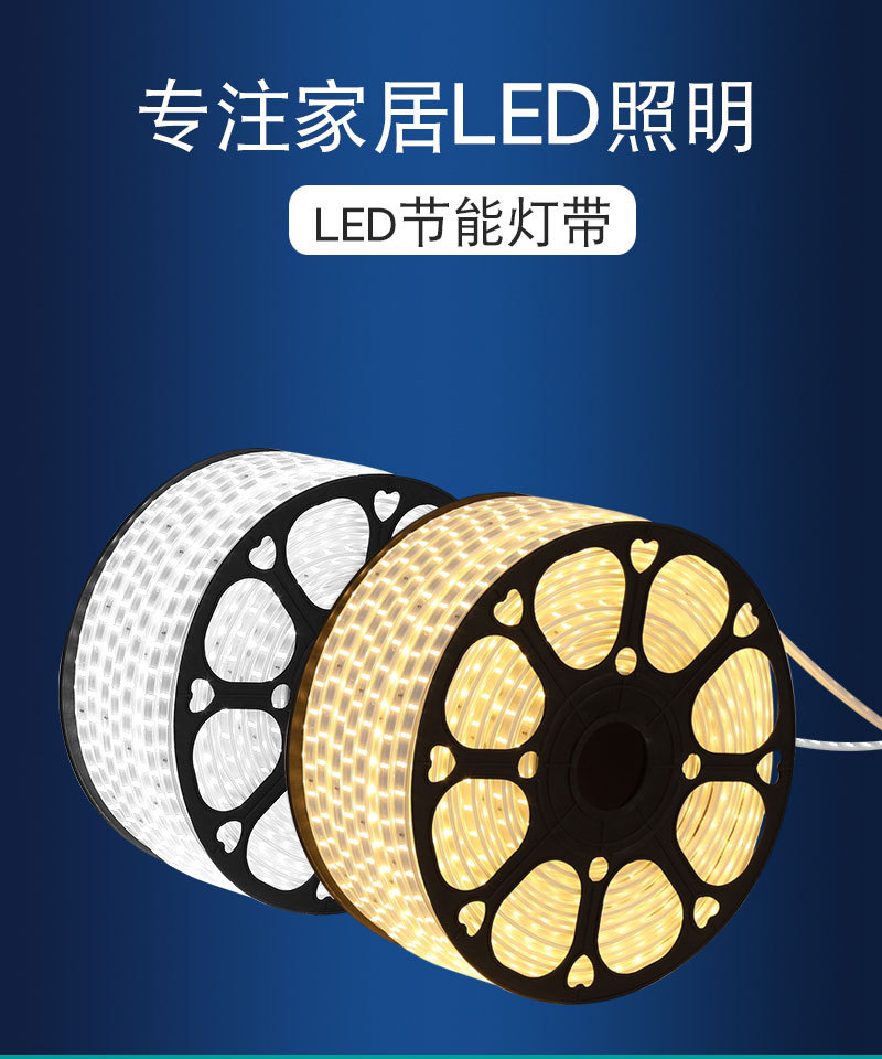 Direct supply of 5730 outdoor waterproof high-voltage 220V color-changing silicone decorative light strips for home engineering pic 1