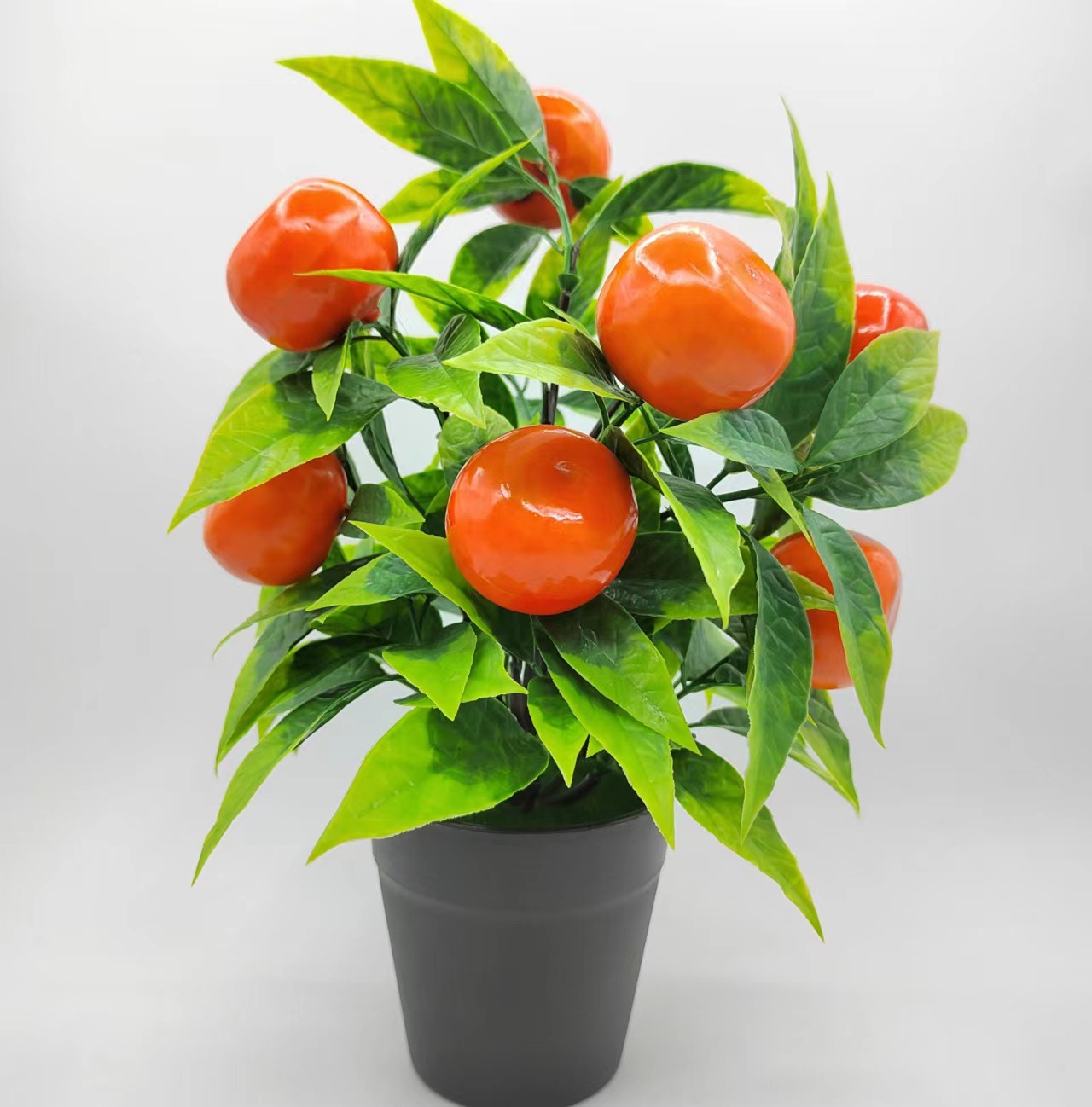 9b9e528dbd9d9a0dfbcca5c01a1611