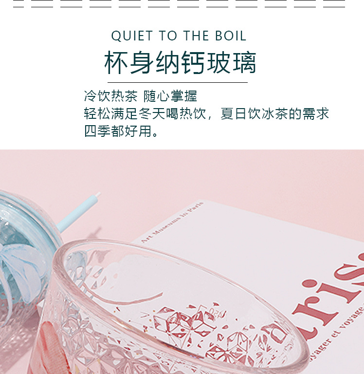 8615玻璃吸管杯女生水杯ins风玻璃杯高颜值办公室奶茶杯子创意碎冰杯详情4