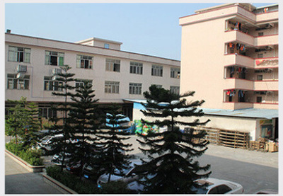 Foreign trade monocrystalline solar panels, photovoltaic panels, solar power generation panels, solar charging panels, 10W-300W pic 6