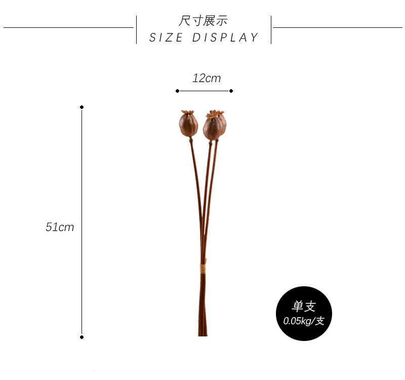 Wholesale of high-end artificial fruits, artificial flowers, photography props, teaching AIDS, dried artificial flowers and flower arrangement materials from the original factory pic 3