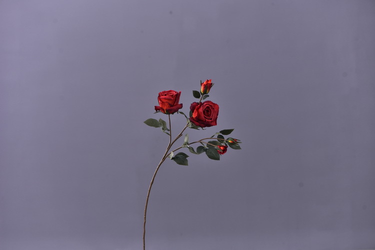 5 pieces of retro charred edge rose artificial flower decoration, artificial flower imitation dried flower, home soft decoration withered and dry, wedding Lanjin artificial rose wholesale pic 13