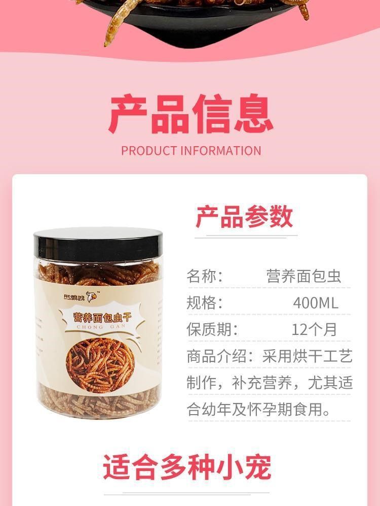 宠物零食面包虫干仓鼠刺猬粮食小龟粮用品主粮鸟零食厂家直销批发详情6