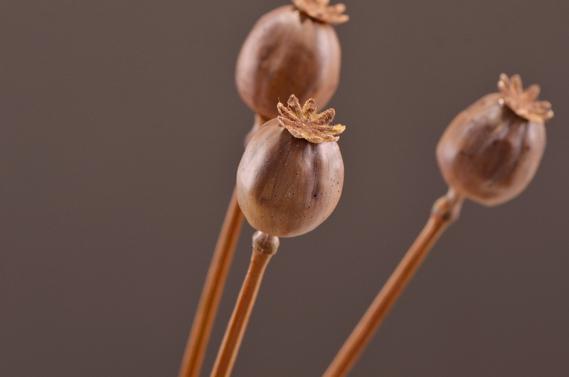 Original factory products, artificial fruits, flower arrangement materials, wabi-sabi style, simple country style, artificial fruits wholesale, artificial flowers pic 15