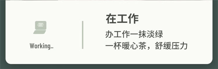 智能显温小巧便携高颜值水杯保温杯316不锈钢茶水分离杯定制刻字详情13