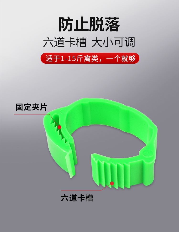 0.1鸡脚环卡扣式鸭鹅禽类可调脚环记号识别环大小鸡通用塑料标签脚圈详情5