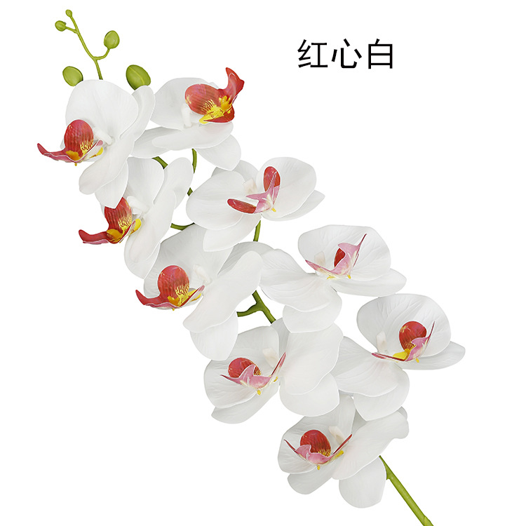 Artificial Phalaenopsis artificial flower home decoration artificial flower hand feel film 9-head Phalaenopsis artificial flower factory wholesale pic 18