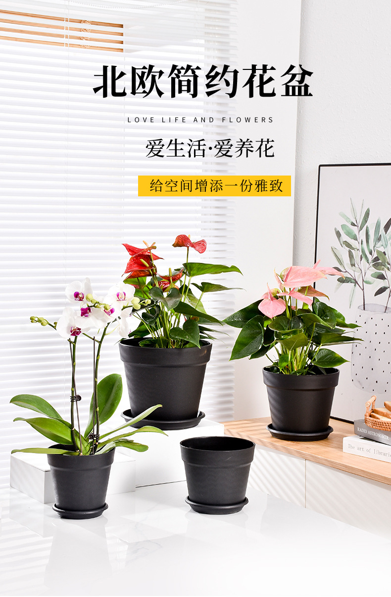 圆形大口径国际盆黑色塑料加仑盆家用客厅阳台树脂花盆厂家批发详情1