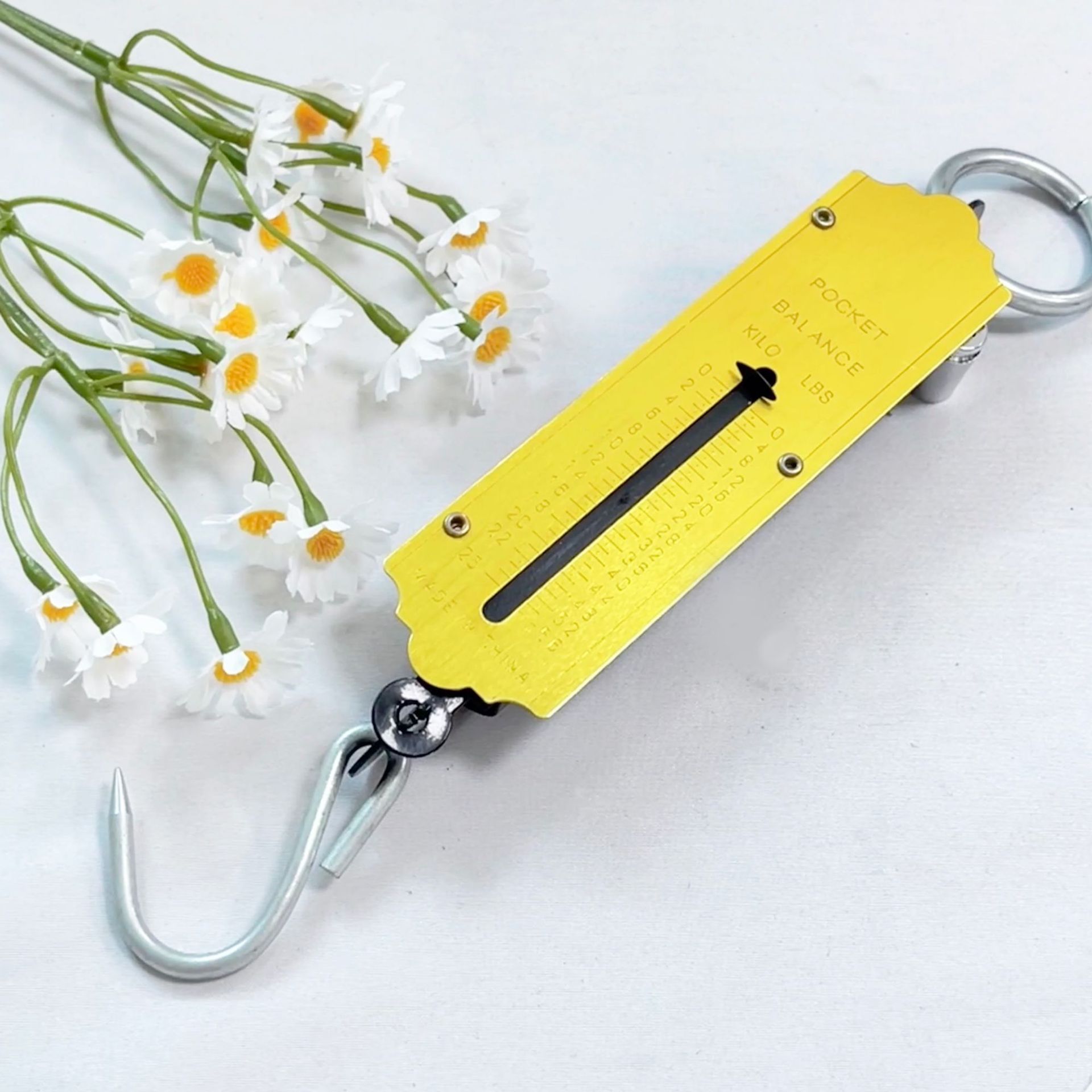 便捷式机械手提秤老式计量实验称买菜秤50kg弹簧秤吊秤详情9