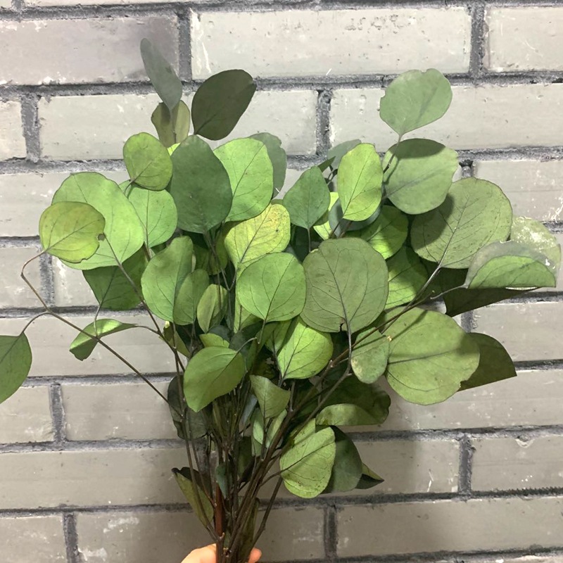 微信图片_20200629164929