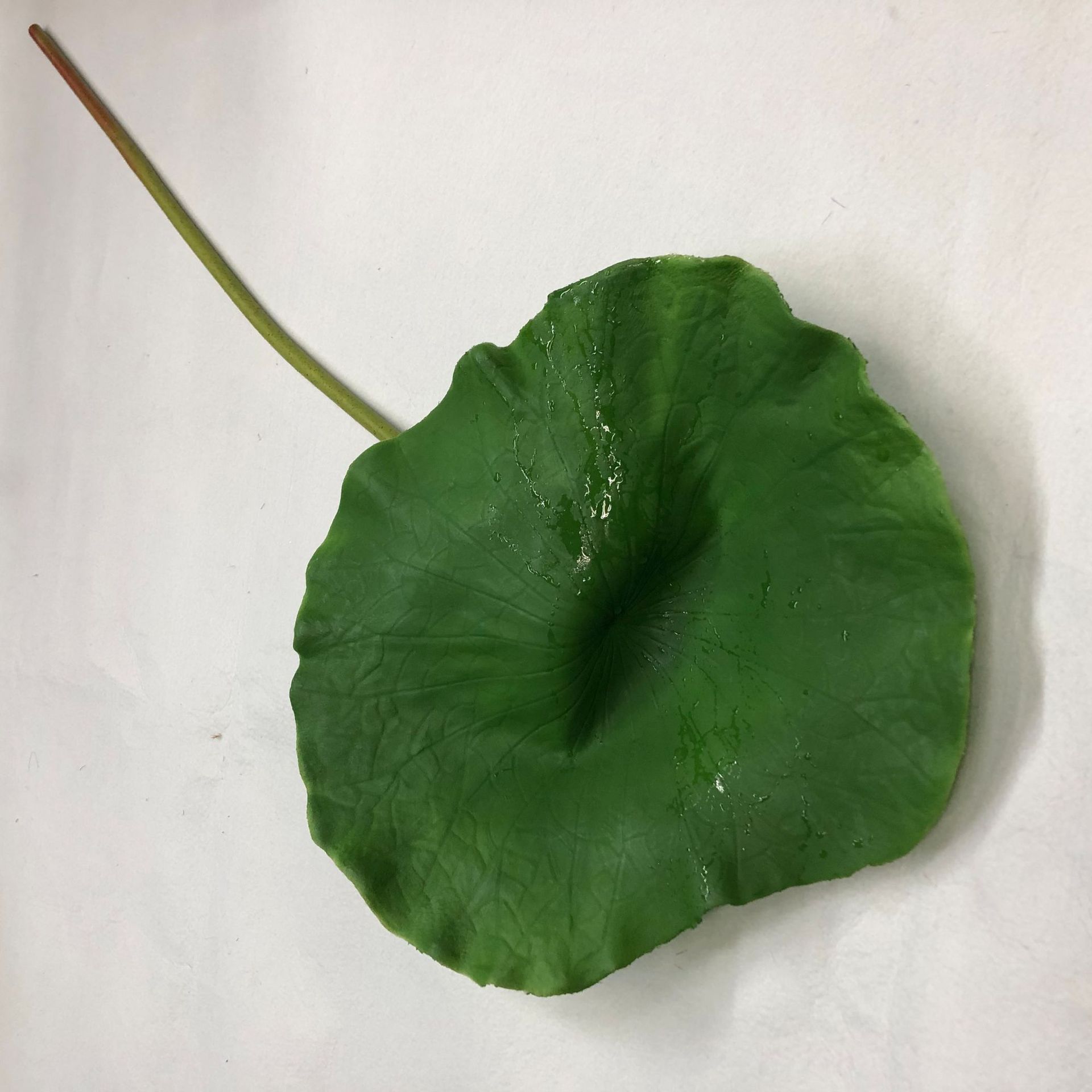 Simulated stem lotus, pu lotus leaf, hand-felt lotus, plastic lotus bud, lotus pod, Chinese rural style Buddhist hall decorative flower pic 25