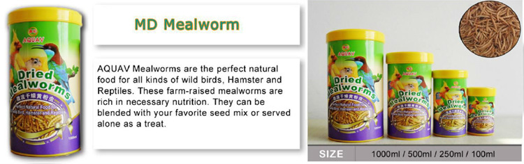批发微波干燥面包虫MD Mealworm 可做出口 鱼饲料龟饲料详情23