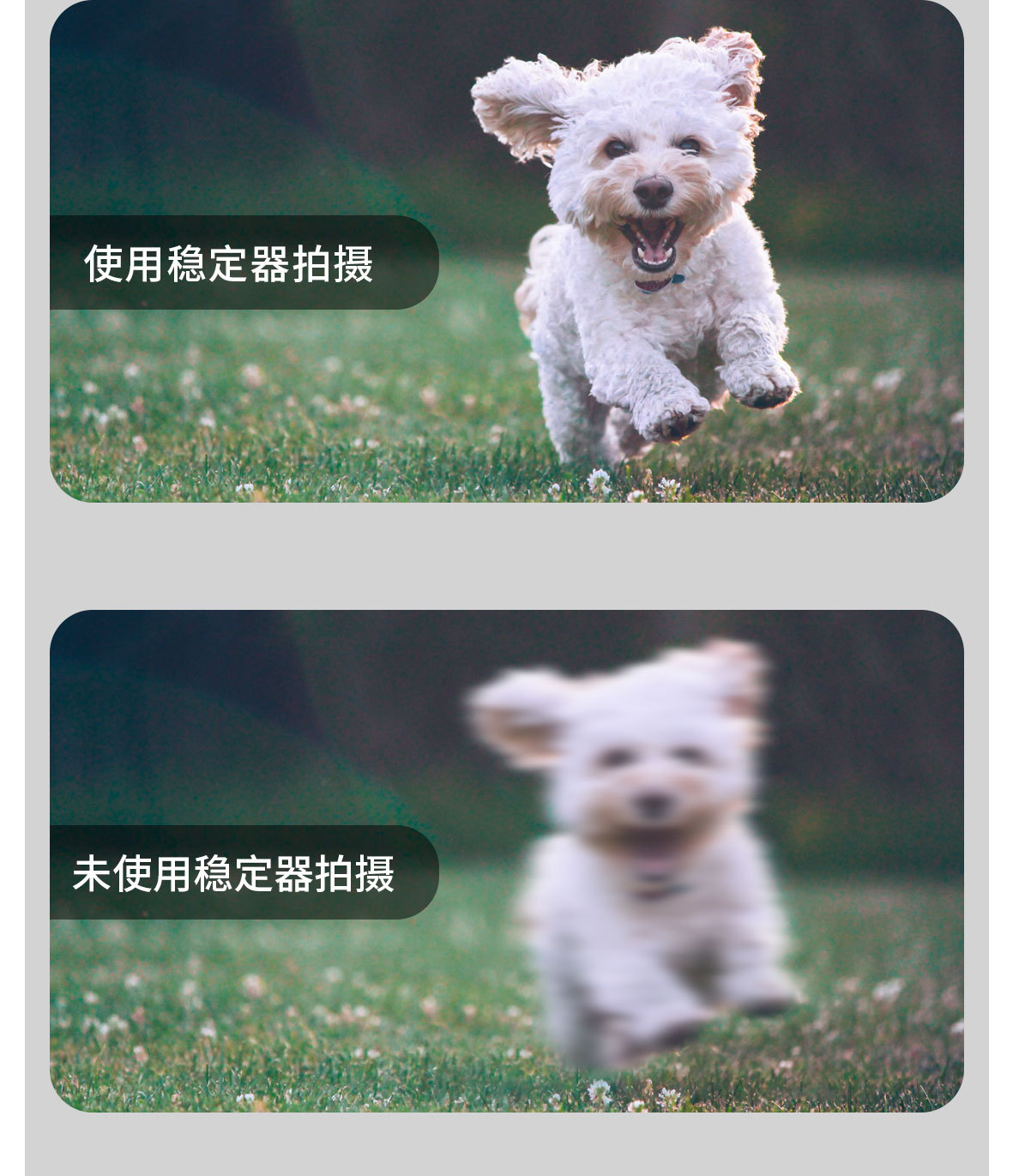 施索新款 l09蓝牙自拍杆运动防抖手持稳定器一体式三脚架带补光灯详情18