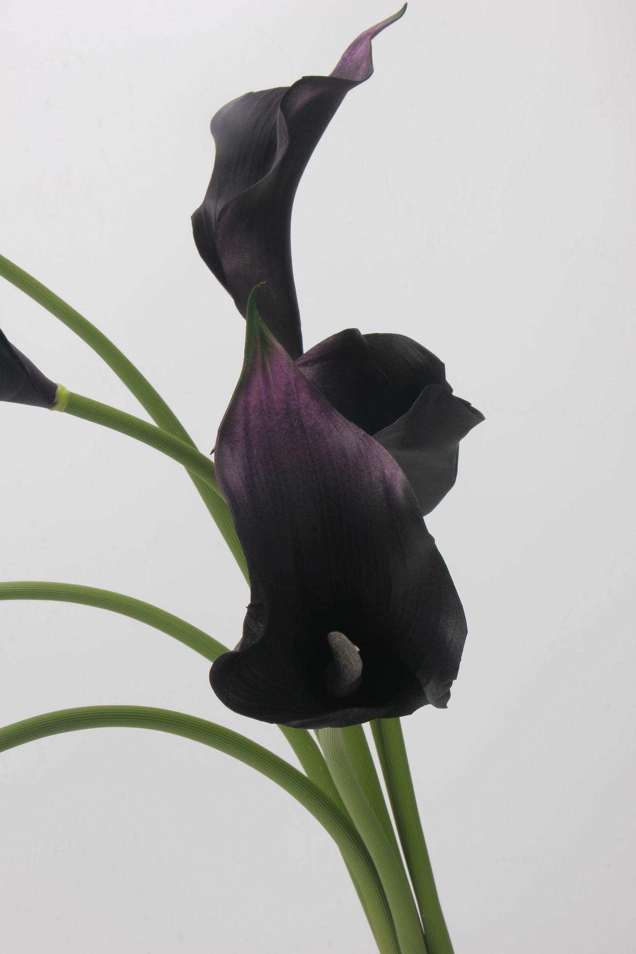 工厂直销 EVA马蹄莲仿真花海芋手感假花单枝婚庆家居插花配材道具详情46