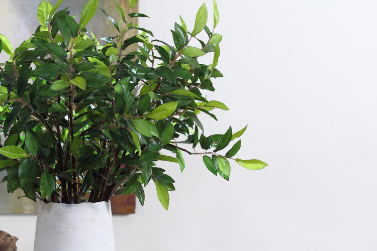 Dongli Factory direct sales, wholesale of olive leaf branches, artificial leaves, artificial leaves, Ins-style interior decoration, flower arrangement plants, wall accessories, artificial green plants pic 9