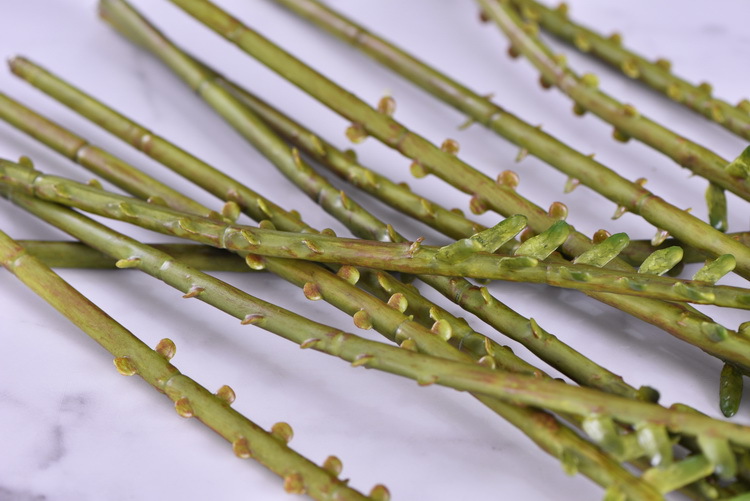 Factory direct sales of artificial green plants wholesale, artificial fern leaves, peacock fern, home banquet, homestay, wedding artificial plants, Lanjin artificial ferns pic 36