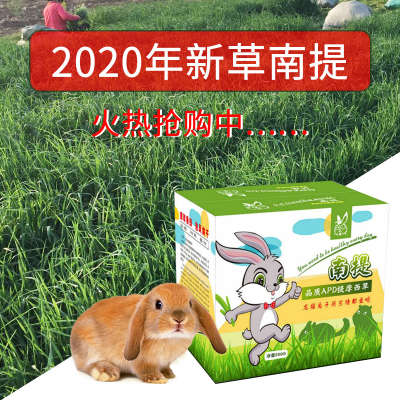 清仓22年现货玉米 饲料主粮兔子仓鼠磨牙小玉米 仓鼠玉米宠物用品详情34